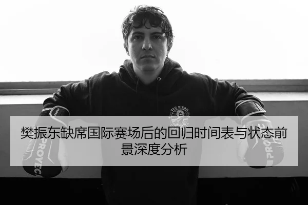樊振东缺席国际赛场后的回归时间表与状态前景深度分析